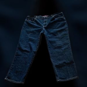 Gloria Vanderbilt Indigo Denim and Tint Jeans